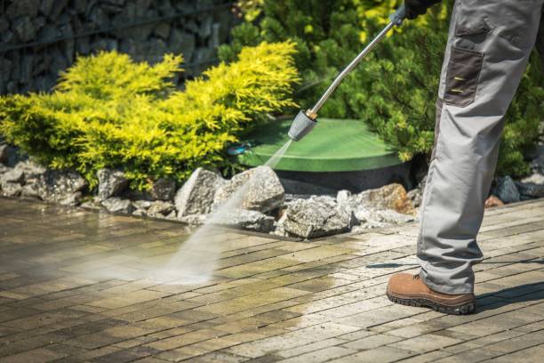 Best Sidewalk and Walkway Cleaning  in River Park, FL