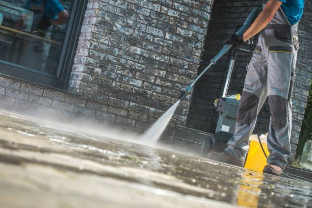 Best Building Exterior Washing  in River Park, FL