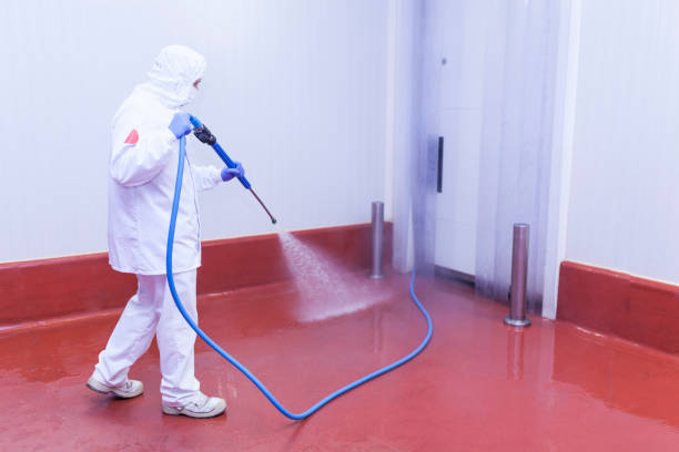 Best Post-Construction Pressure Washing  in River Park, FL